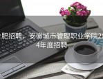 合肥招聘，安徽城市管理职业学院2024年度招聘