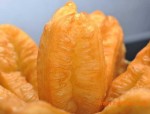 2018 粤东婴童玩具展推广小组在合肥白马商城三期、九龙珠儿童城的宣传推广