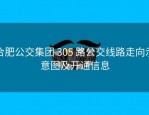 合肥公交集团 305 路公交线路走向示意图及开通信息