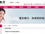 湖北孝感市人事考试简章及湖北银行招聘公告2024年12月