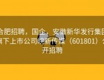 合肥招聘，国企，安徽新华发行集团旗下上市公司皖新传媒（601801）公开招聘