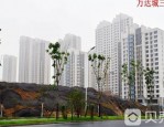 合肥万达城10个月12次开盘售罄，停摆2日人气不减反增
