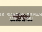 合肥：在众强包围中，如何从压力巨大的胖子变为强者？