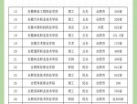 合肥大学:排名、优势专业、录取分数线全解析（地方公办理工大学）