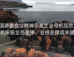 国资委会议精神引发工业母机狂欢，机床股全员涨停，业绩支撑成关键