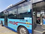 合肥公交新开爱情定制专线和音乐节定制专线，方便市民出行