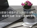 合肥首个楼面价近 2 万项目出手，安徽置地滨湖·双玺打造国际豪宅