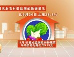 极端天气致蔬菜价格上涨，部分涨幅超 30%，老百姓生活压力增大