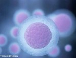 端午小长假就医攻略：合肥市各大医院门急诊安排一览