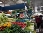 合肥市蜀山区春菜抢鲜上市，春日经济唤醒城市消费活力丰富市民餐桌