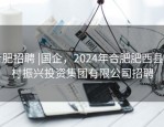 合肥招聘 |国企，2024年合肥肥西县乡村振兴投资集团有限公司招聘