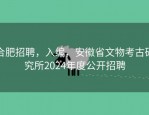 合肥招聘，入编，安徽省文物考古研究所2024年度公开招聘