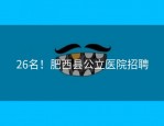 26名！肥西县公立医院招聘
