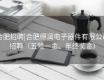 合肥招聘|合肥得润电子器件有限公司招聘（五险一金、年终奖金）