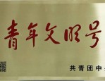 合肥包河区城管局滨湖新区市容办公室荣获全国青年文明号，探索城市管理新路径