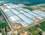 比亚迪新能源汽车合肥工厂总投资60亿元，8月底正式开工建设
