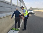 临沂北城交警：群众遇难题，他们又双叒叕出手了……