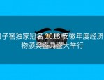 口子窖独家冠名 2018 安徽年度经济人物颁奖盛典盛大举行
