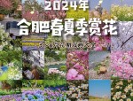合肥即将花开成海！2月赏梅地点及交通全攻略