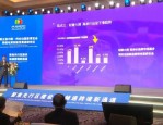 合肥：崛起的城市，数字经济前景广阔，诞生众多优秀企业