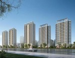 合肥8宗约848亩地揽金72.21亿元，近40家房企激战竞拍