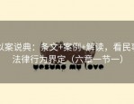 以案说典：条文+案例+解读，看民事法律行为界定（六章一节一）