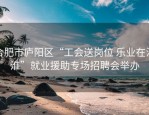 合肥市庐阳区“工会送岗位 乐业在江淮”就业援助专场招聘会举办