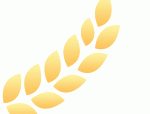 合肥招聘 | 安徽爱德夏汽车零部件有限公司招聘（五险一金、周末双休）