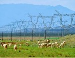 国网甘肃省电力公司：西北电网枢纽与人才培养基地