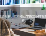 合肥招聘，徽商职业学院2024年度招聘