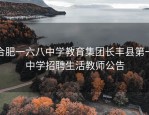 合肥一六八中学教育集团长丰县第一中学招聘生活教师公告