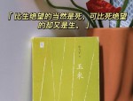 心悦与星月、藕饼的故事：情感与命运的交织