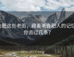 合肥这些老街，藏着老合肥人的记忆，你去过几条？