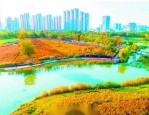 春节刚过合肥林业和园林局布置新任务，十大百小公园年内开工引期待