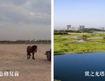 肥西生态变迁：从黑臭河到清水渠，大气植被土壤全面改善