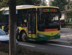 2 月 24 日起，合肥市区到肥东的 28 路、38 路、40 路、D199 路公交线路恢复运营