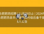 合肥肥西招聘 | 11月29日止 | 2024年合肥肥西县丰乐镇选拔村级后备干部18人公告
