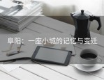 阜阳：一座小城的记忆与变迁