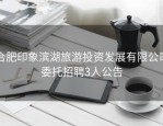 合肥印象滨湖旅游投资发展有限公司委托招聘3人公告