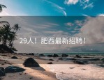 29人！肥西最新招聘！
