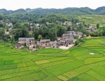 瑶海区和蜀山区拆除多处居民区违建，面积超千平方米