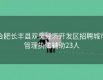 合肥长丰县双凤经济开发区招聘城市管理执法辅助23人