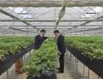 温州市龙湾区审计局移送使用假发票案，引发社会强烈反响