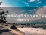 合肥印象滨湖旅游投资发展有限公司招聘公告