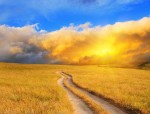 合肥存储器项目：谁来经营？总投资多少？太极实业子公司中标 67 亿总承包合同
