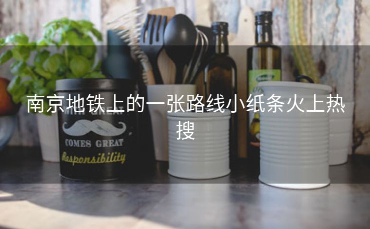 南京地铁上的一张路线小纸条火上热搜