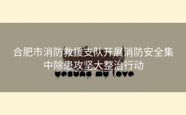合肥市消防救援支队开展消防安全集中除患攻坚大整治行动
