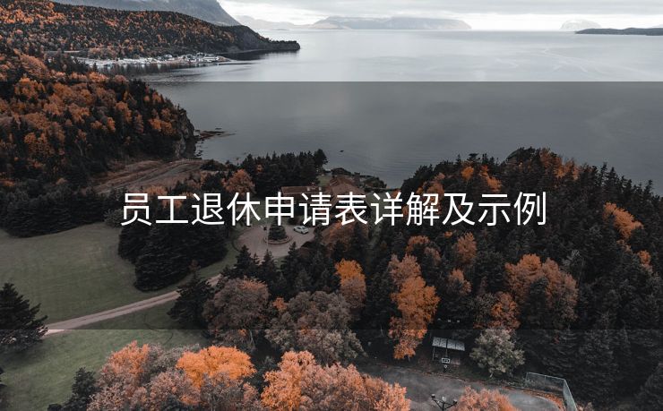 员工退休申请表详解及示例