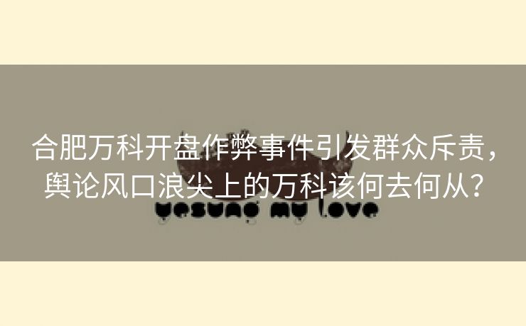 合肥万科开盘作弊事件引发群众斥责，舆论风口浪尖上的万科该何去何从？