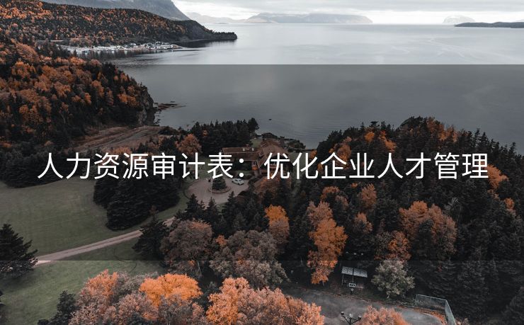 人力资源审计表：优化企业人才管理